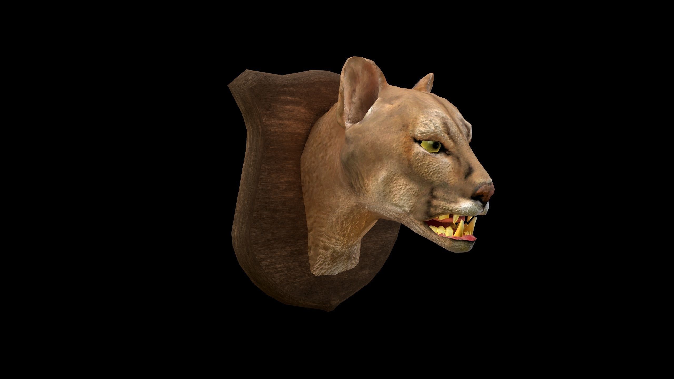 Cougar Head - PBR - Textured Low-poly 3D model_2
