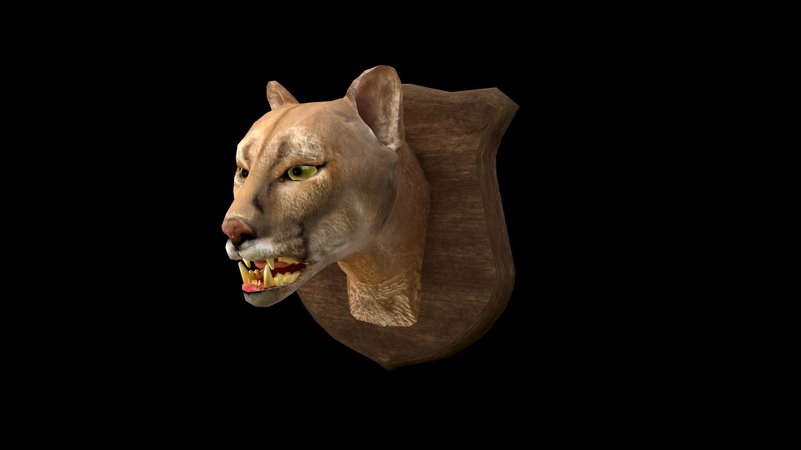Cougar Head - PBR - Textured Low-poly 3D model_9