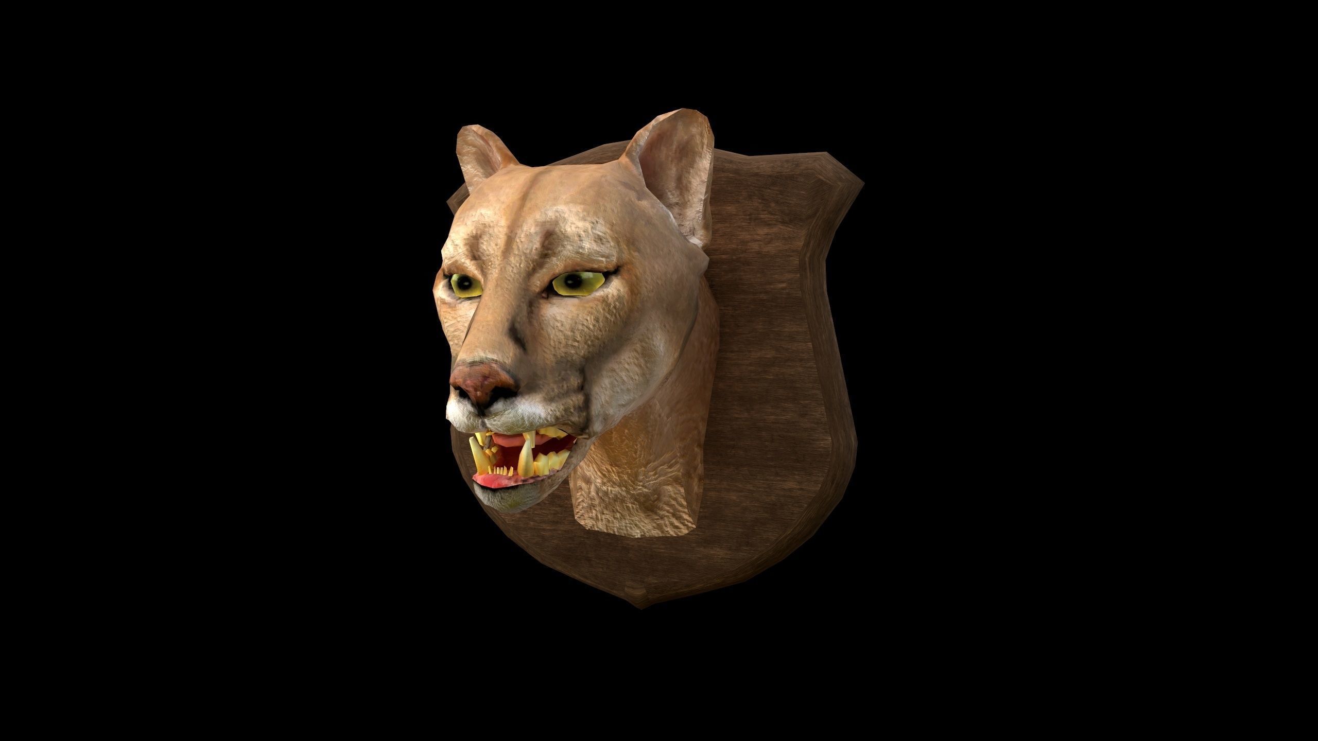 Cougar Head - PBR - Textured Low-poly 3D model_10