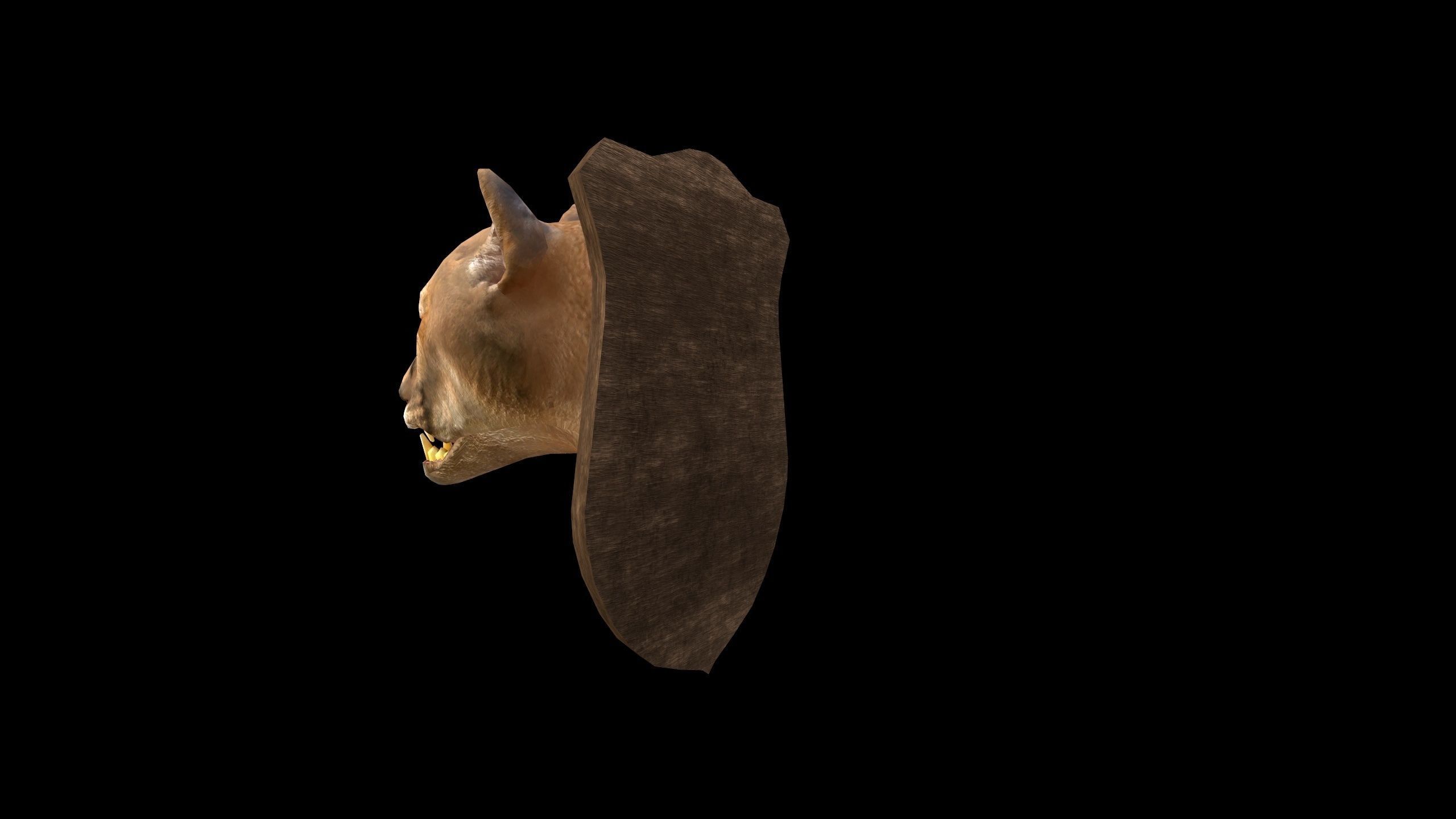 Cougar Head - PBR - Textured Low-poly 3D model_6