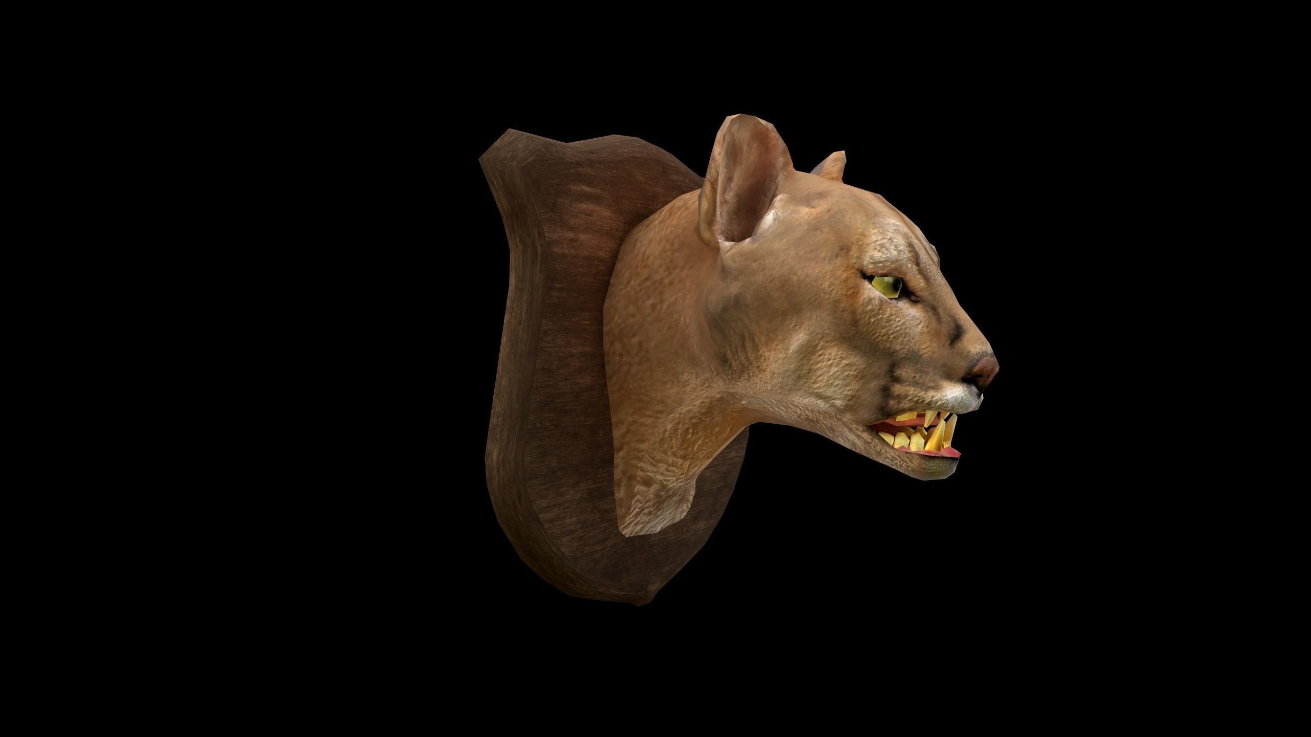 Cougar Head - PBR - Textured Low-poly 3D model_3