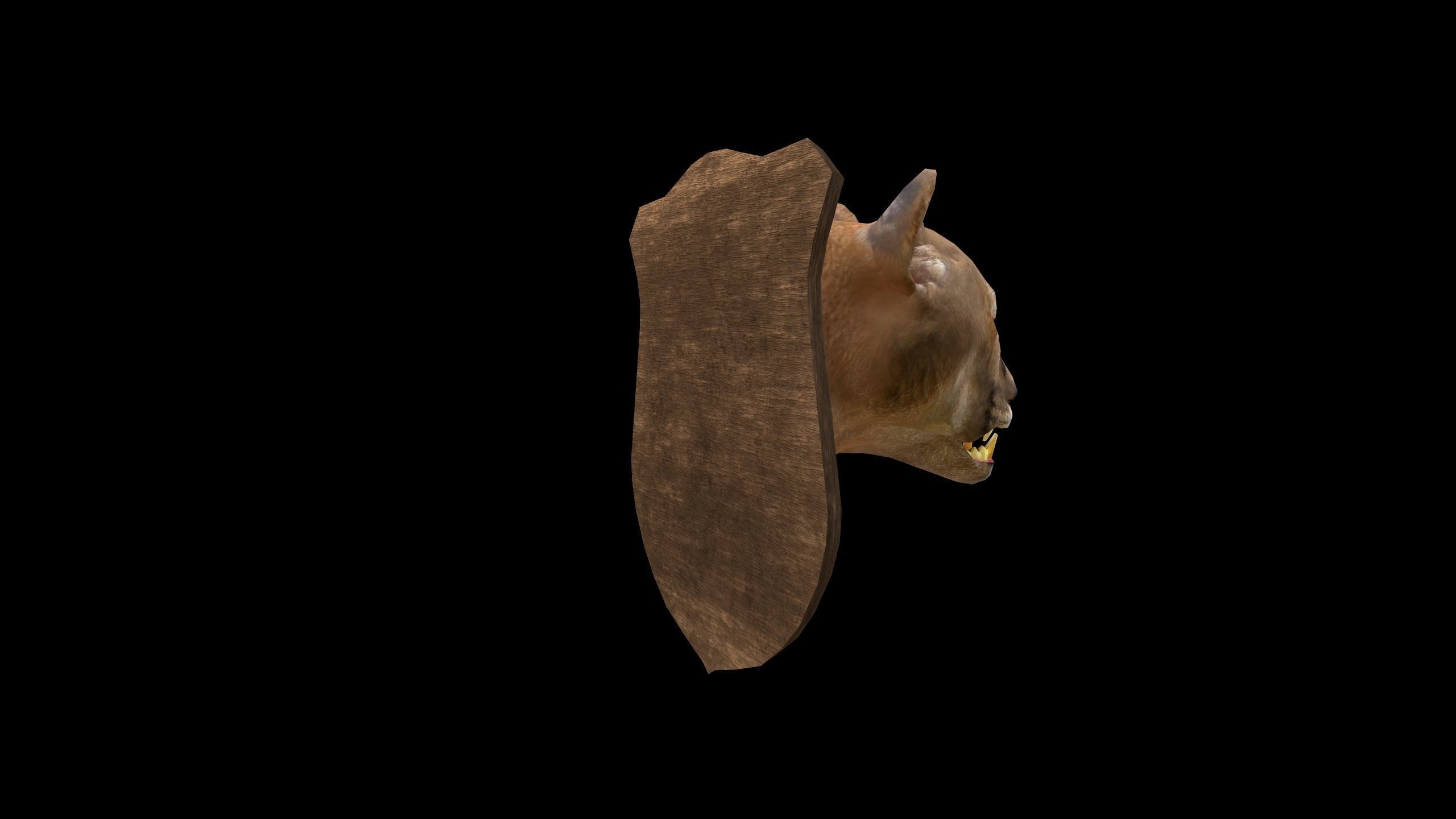 Cougar Head - PBR - Textured Low-poly 3D model_5