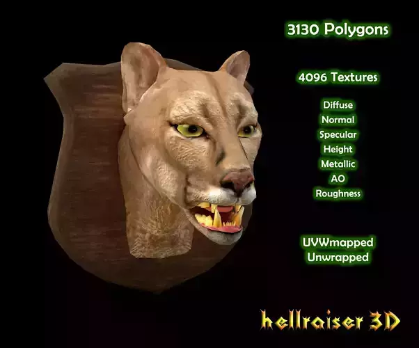 Cougar Head - PBR - Textured Low-poly 3D model