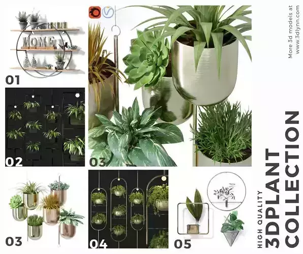 Top Hanging Plant Pots Collection 3D model