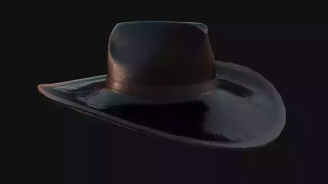 Cowboy Hat