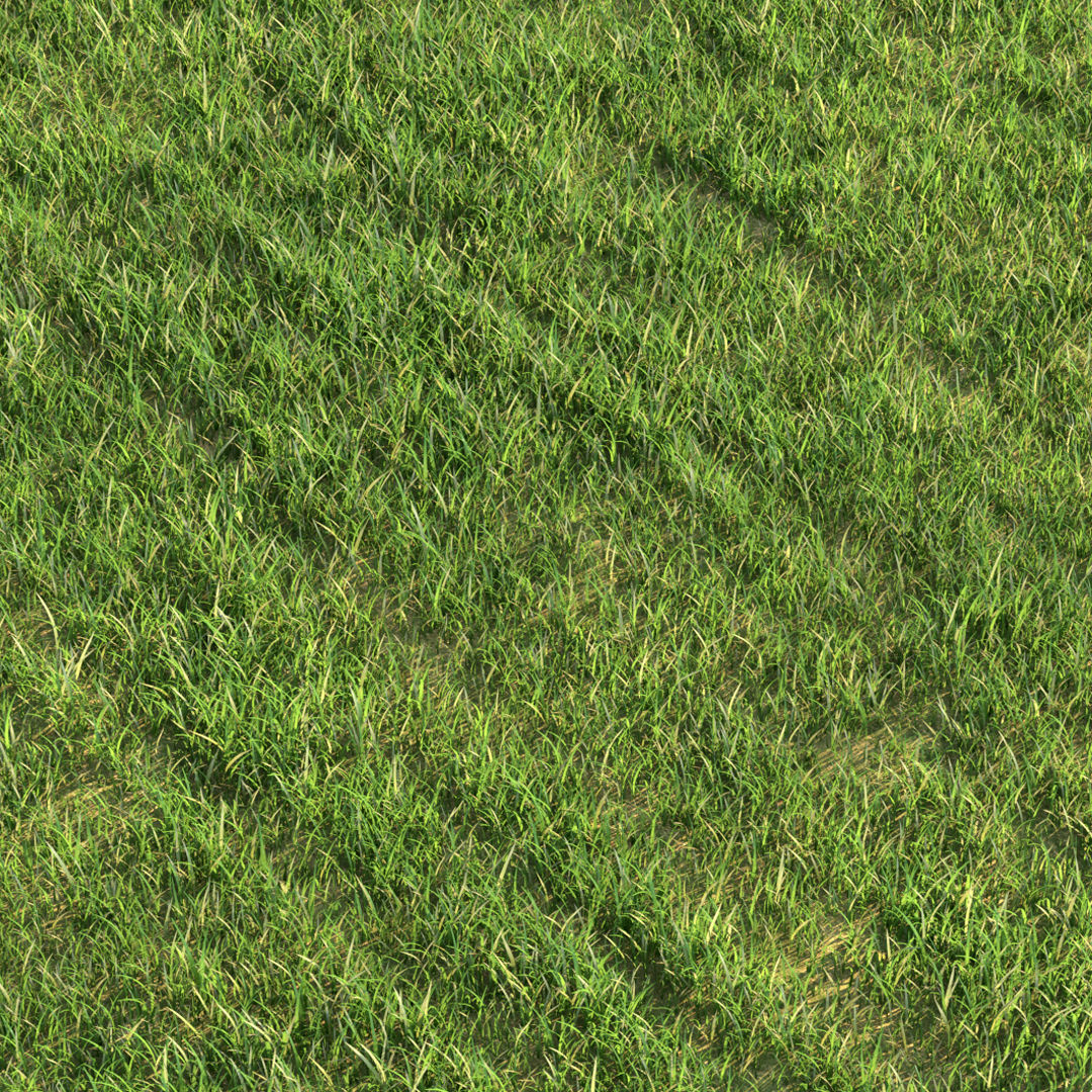 Green Grass 3D model_2