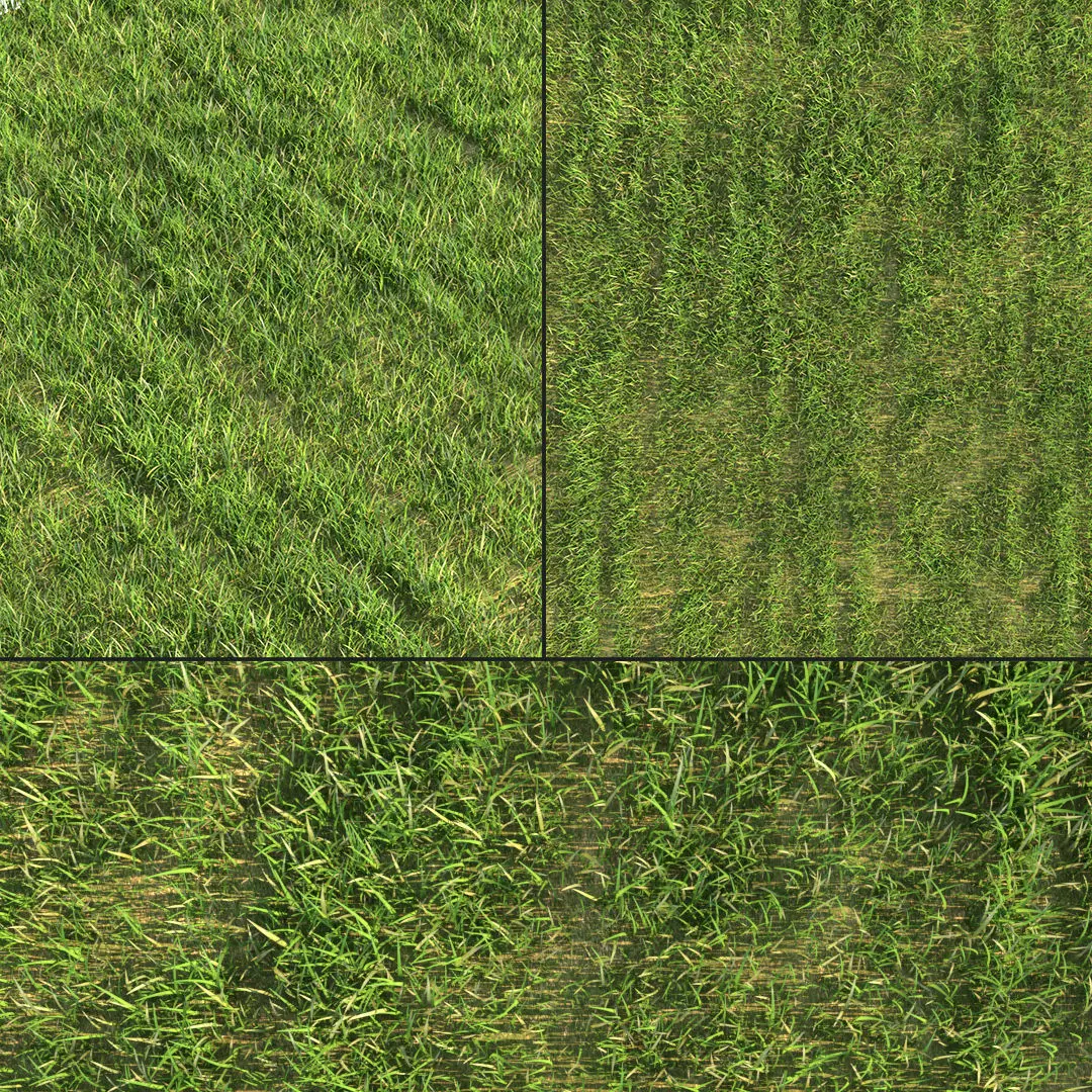 Green Grass 3D model_0