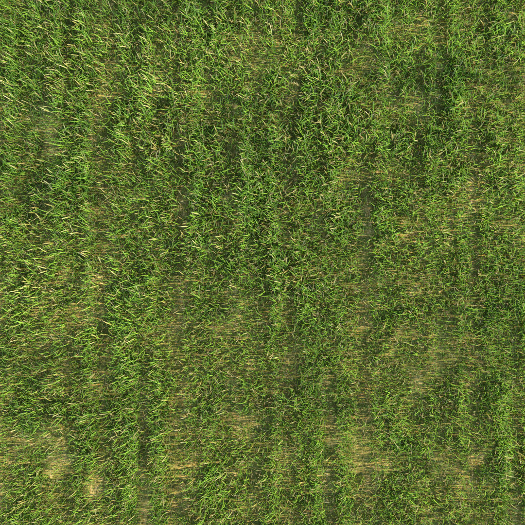 Green Grass 3D model_1