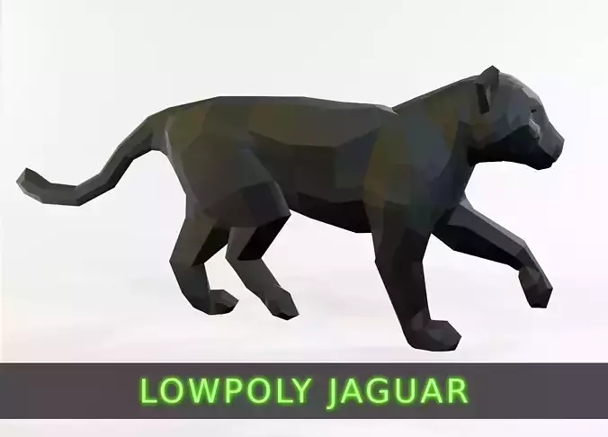 Jaguar animal