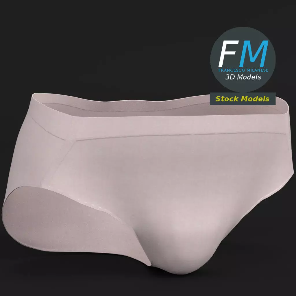 Briefs underwear for men 3D model_0