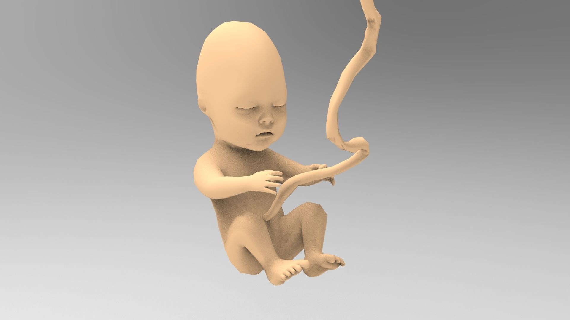 Human Fetus 10W Low-poly 3D model_1