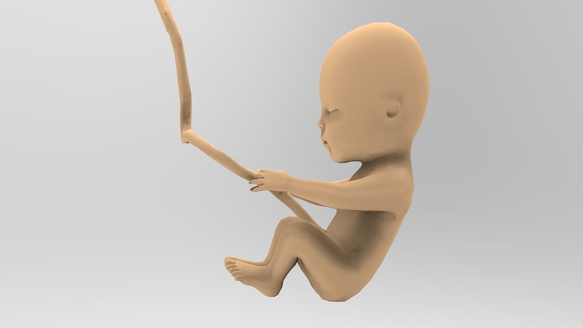 Human Fetus 10W Low-poly 3D model_6