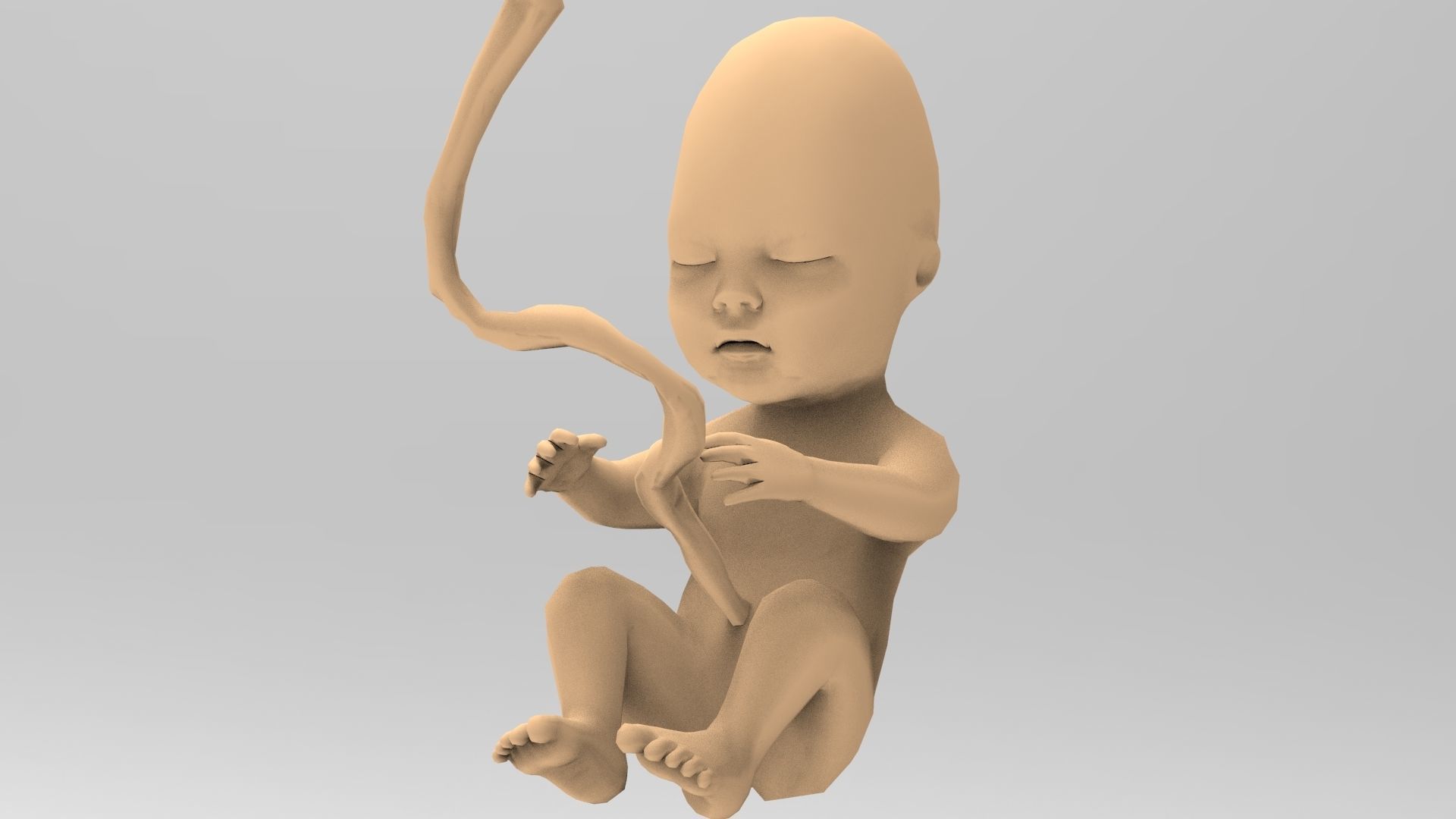 Human Fetus 10W Low-poly 3D model_7