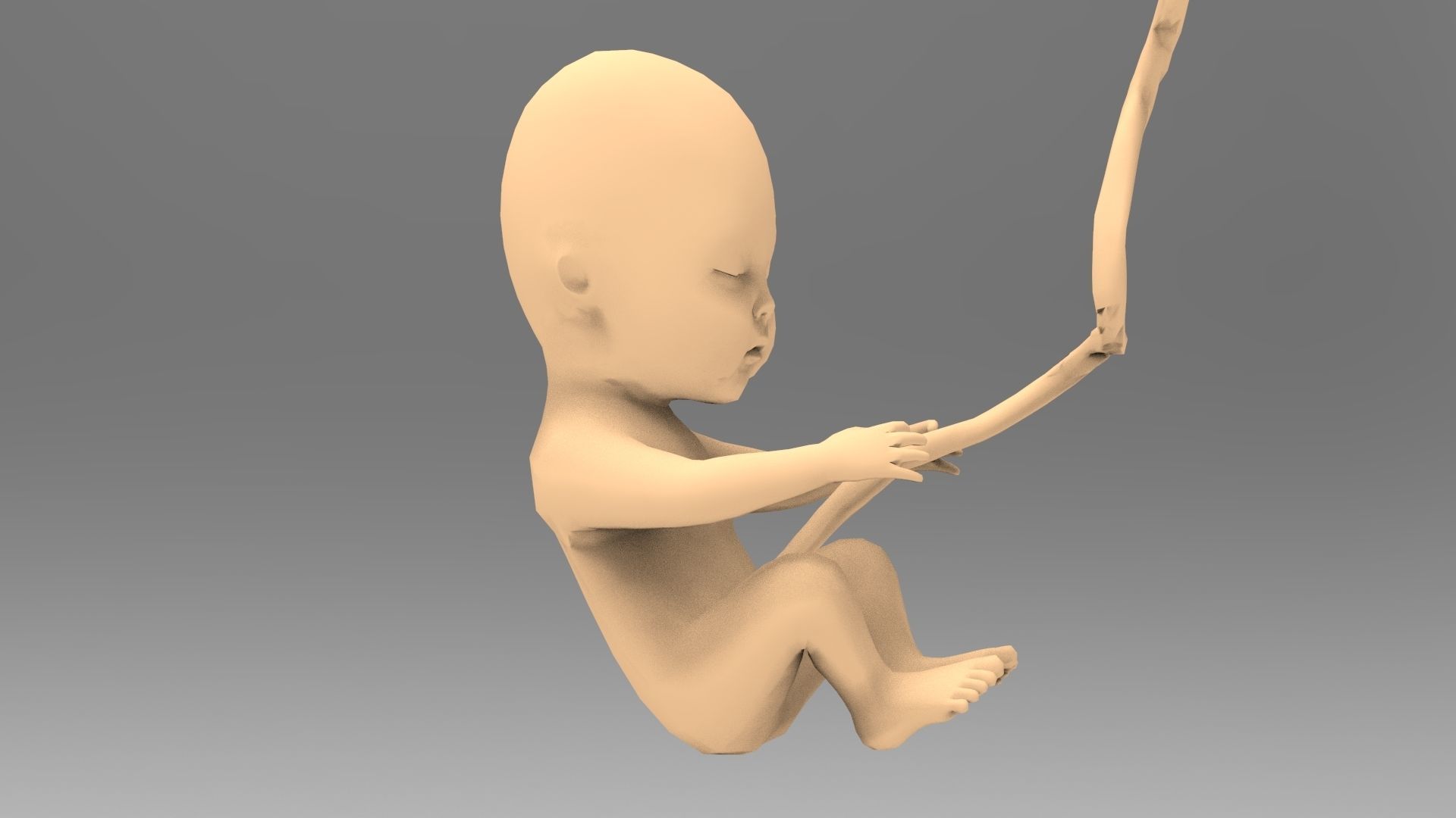 Human Fetus 10W Low-poly 3D model_2