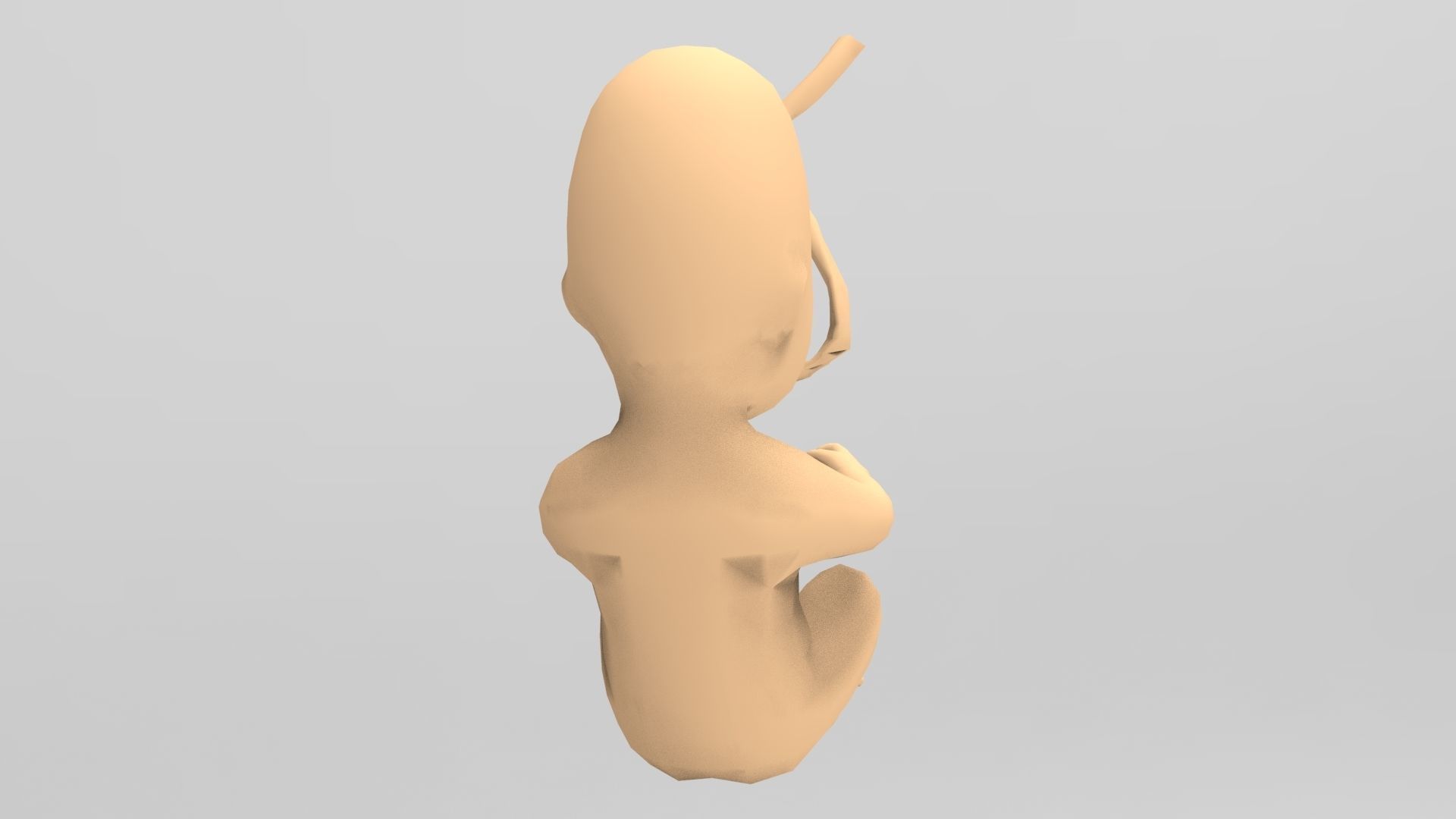 Human Fetus 10W Low-poly 3D model_4