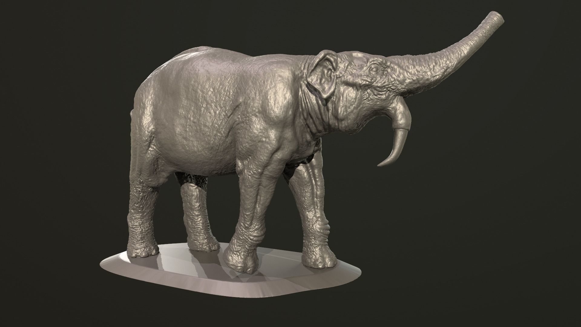 Deinotherium thraceiensis 3D print model_5