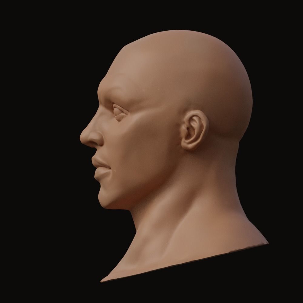Stylized Heroic Human Male Head 3D model_2
