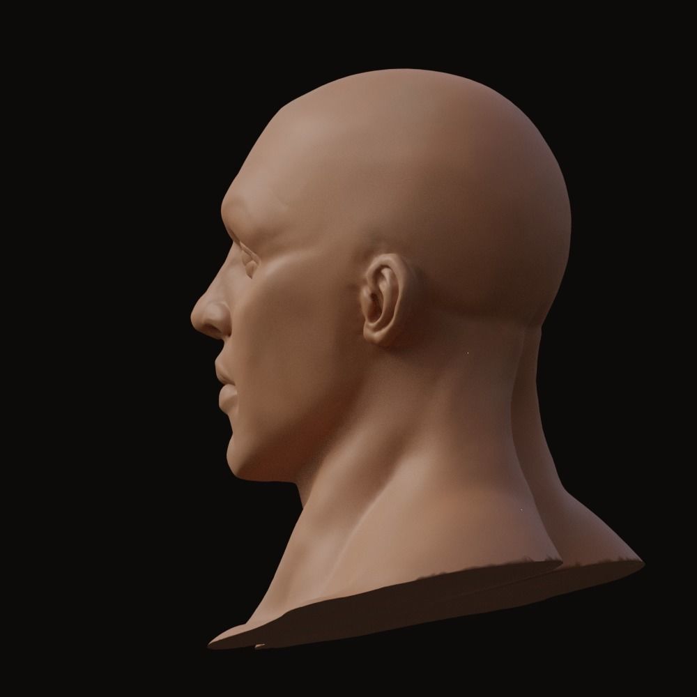 Stylized Heroic Human Male Head 3D model_3