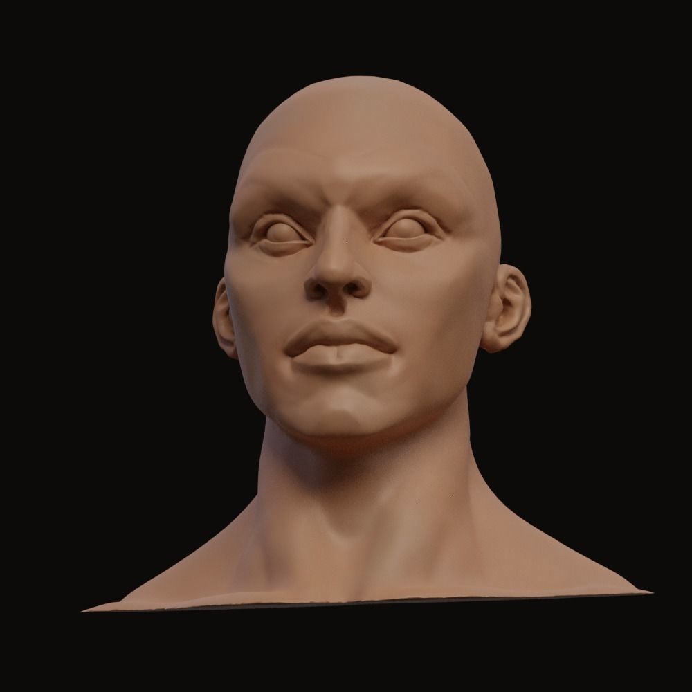 Stylized Heroic Human Male Head 3D model_7