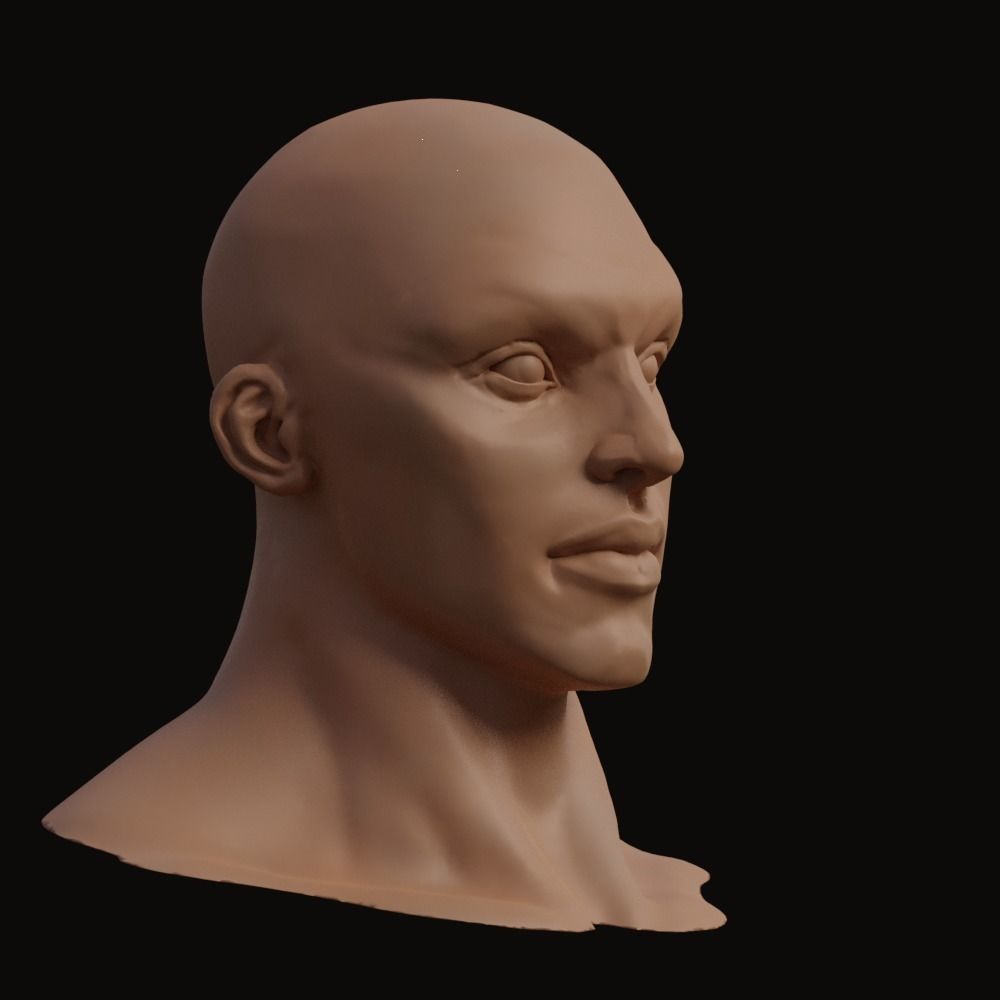 Stylized Heroic Human Male Head 3D model_5