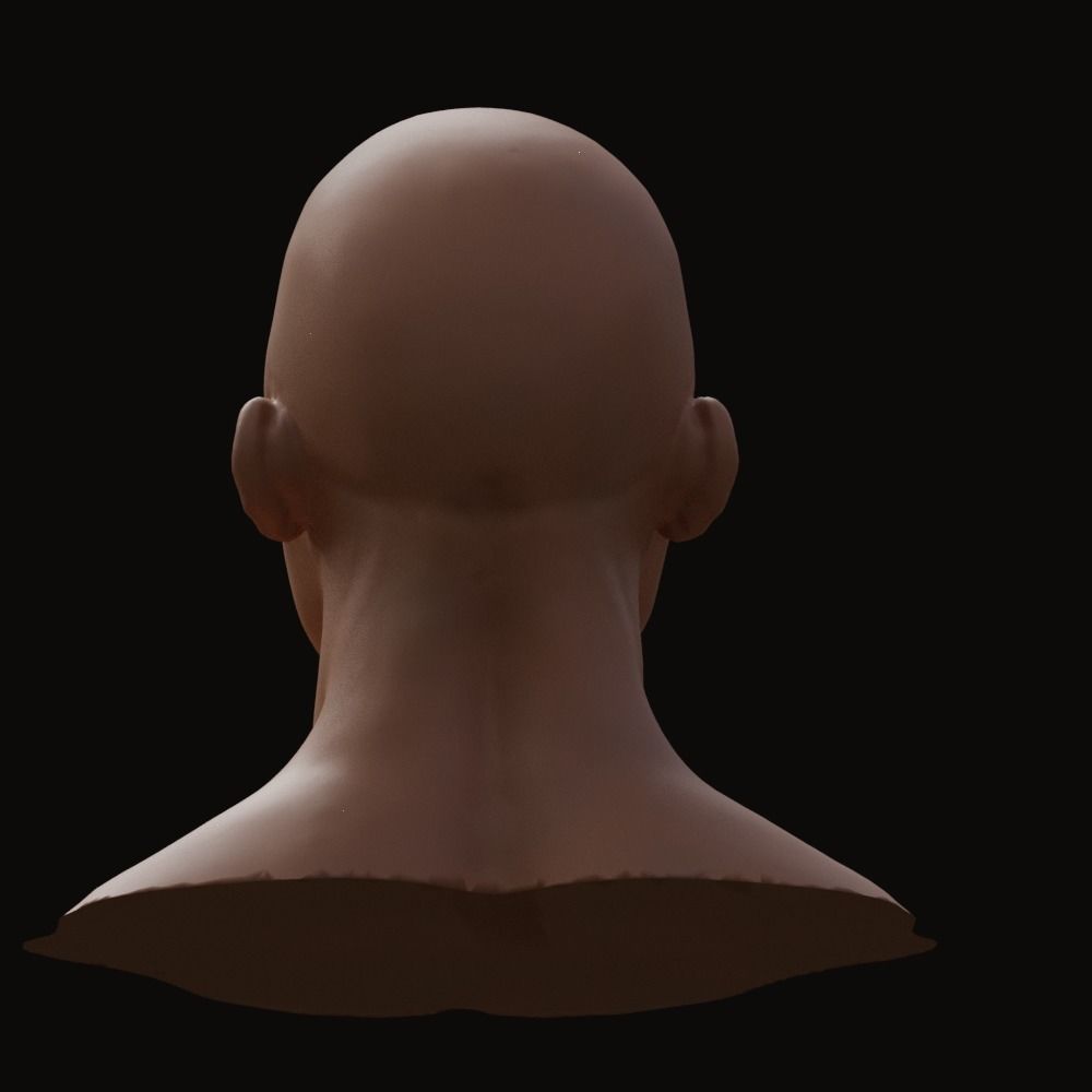 Stylized Heroic Human Male Head 3D model_4