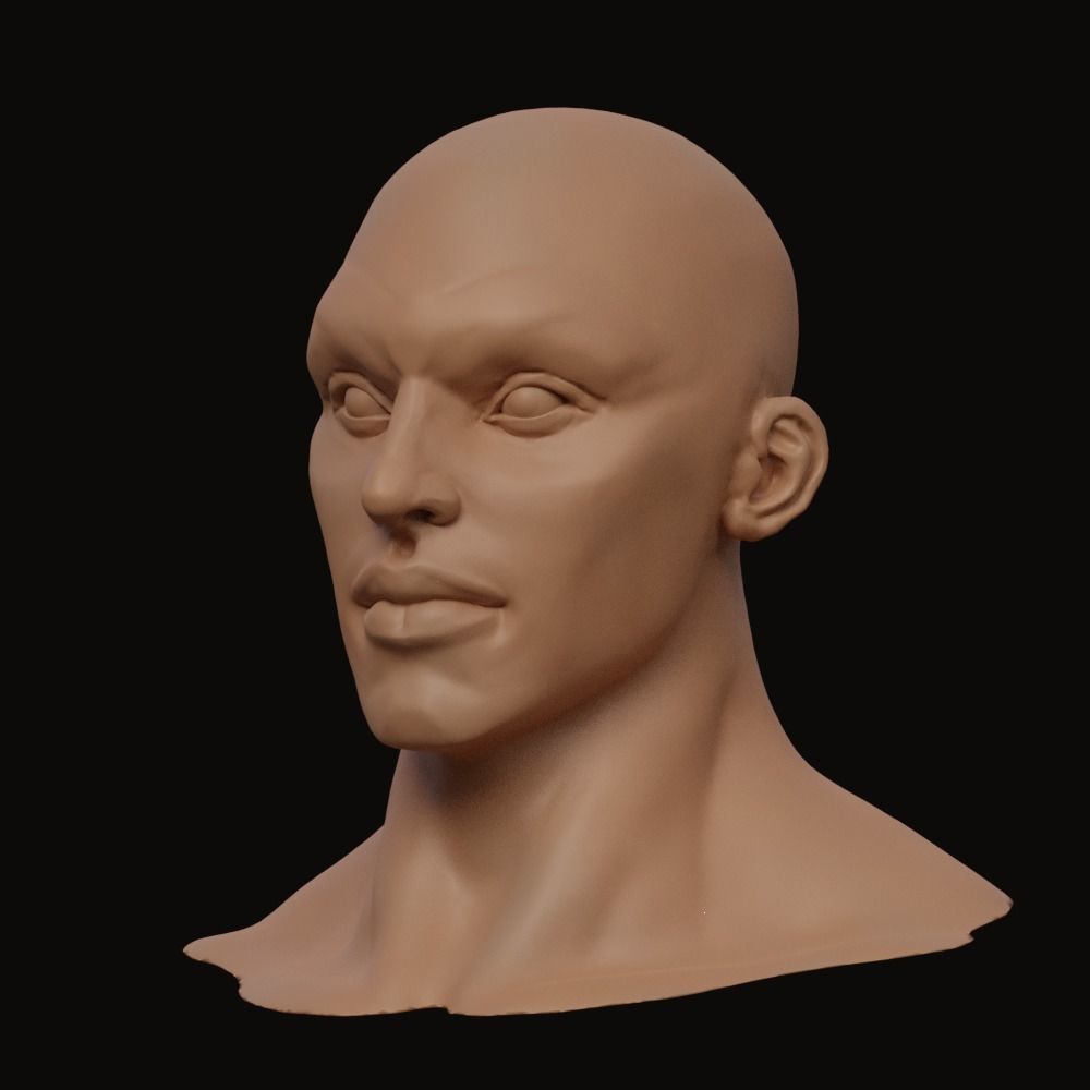 Stylized Heroic Human Male Head 3D model_1