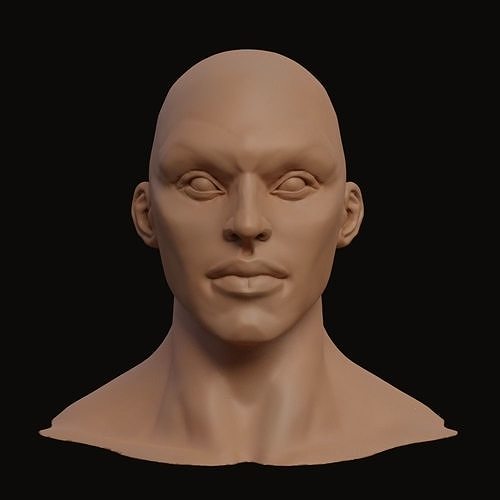 Stylized Heroic Human Male Head 3D model