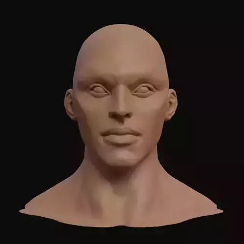 Stylized Heroic Human Male Head 3D model