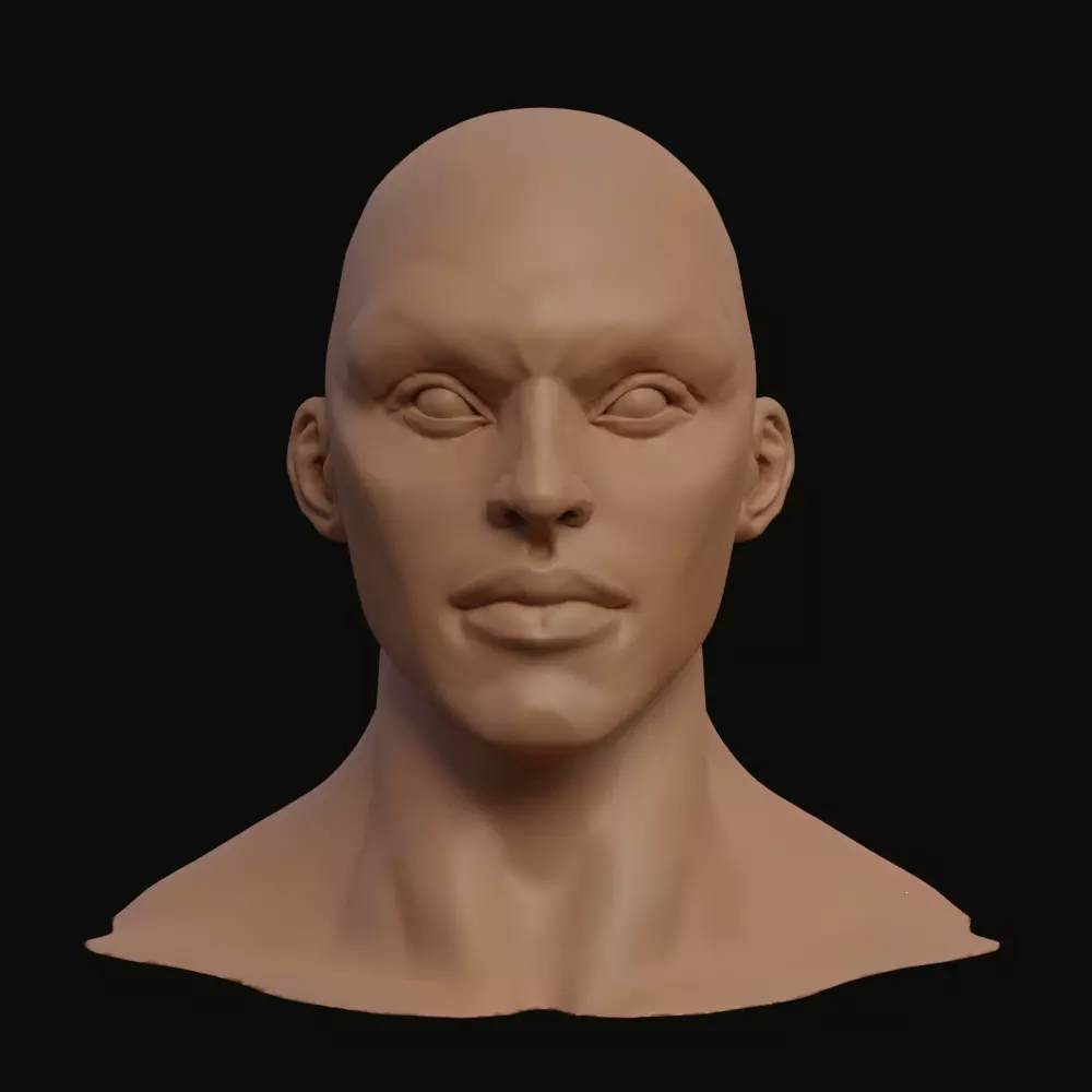 Stylized Heroic Human Male Head 3D model_0