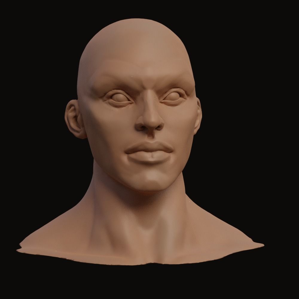 Stylized Heroic Human Male Head 3D model_8