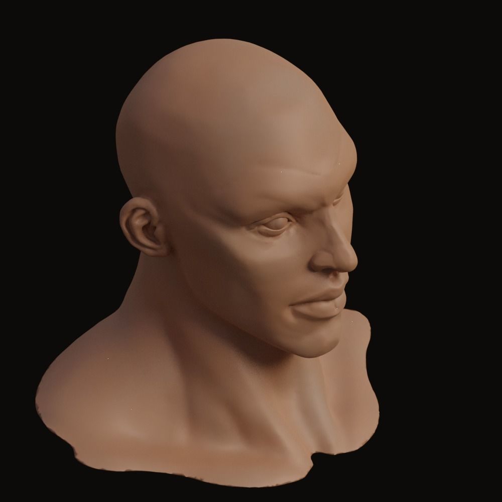 Stylized Heroic Human Male Head 3D model_6