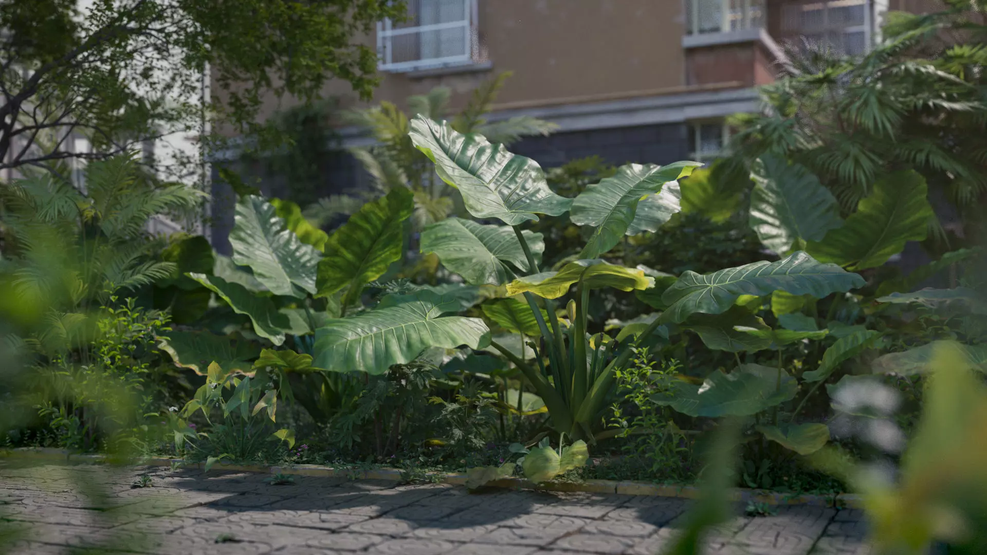 3D Taro Collection plants in garden near building Low-poly 3D model_0