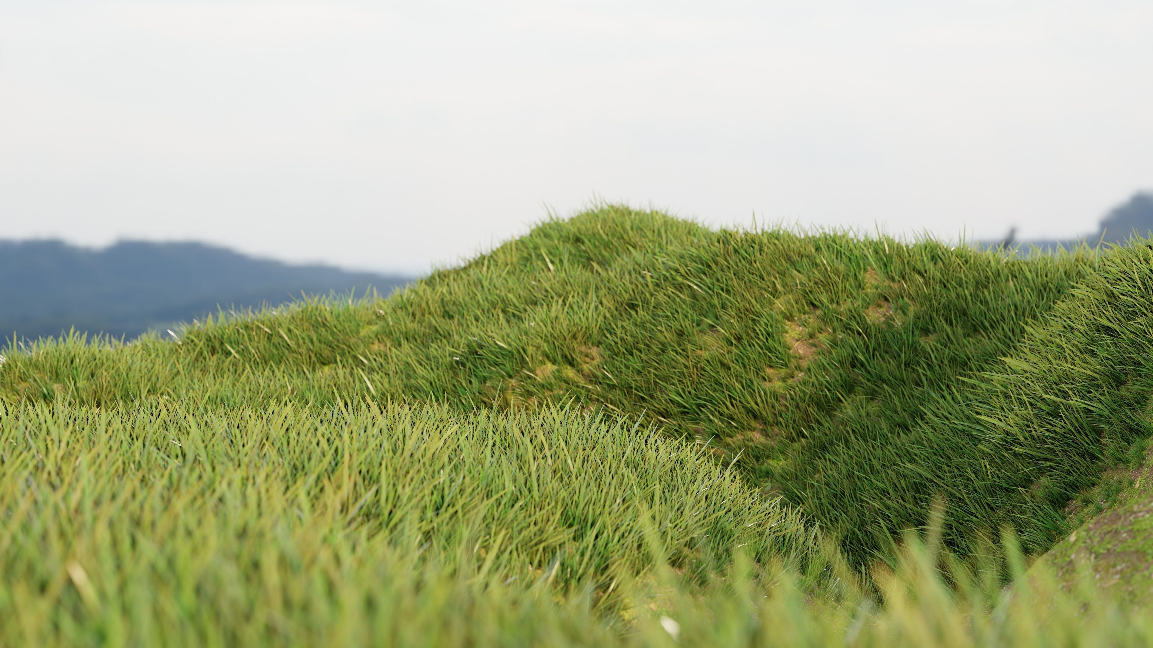 Realistic Grass  Cycles and EEVEE Low-poly 3D model_5
