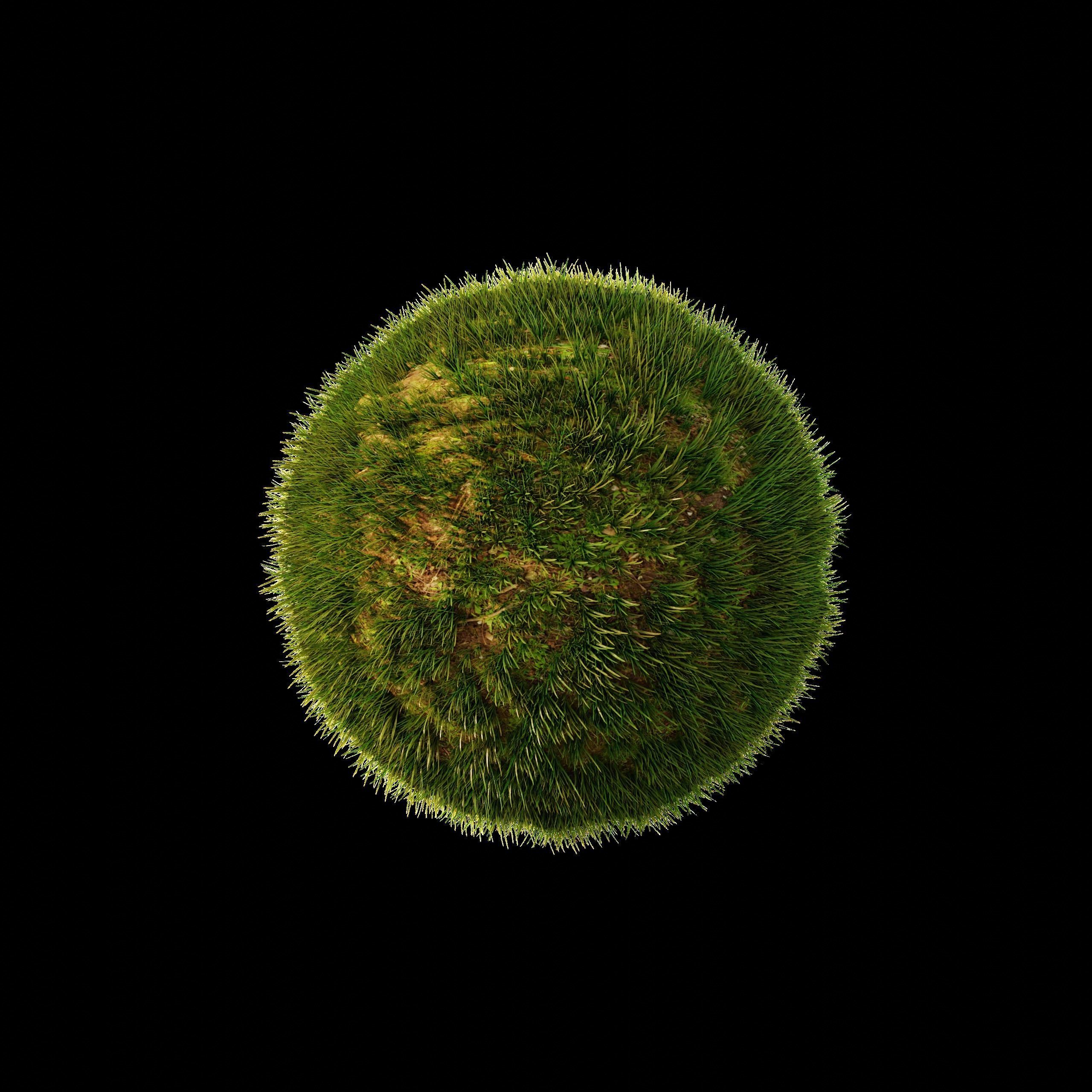 Realistic Grass  Cycles and EEVEE Low-poly 3D model_3