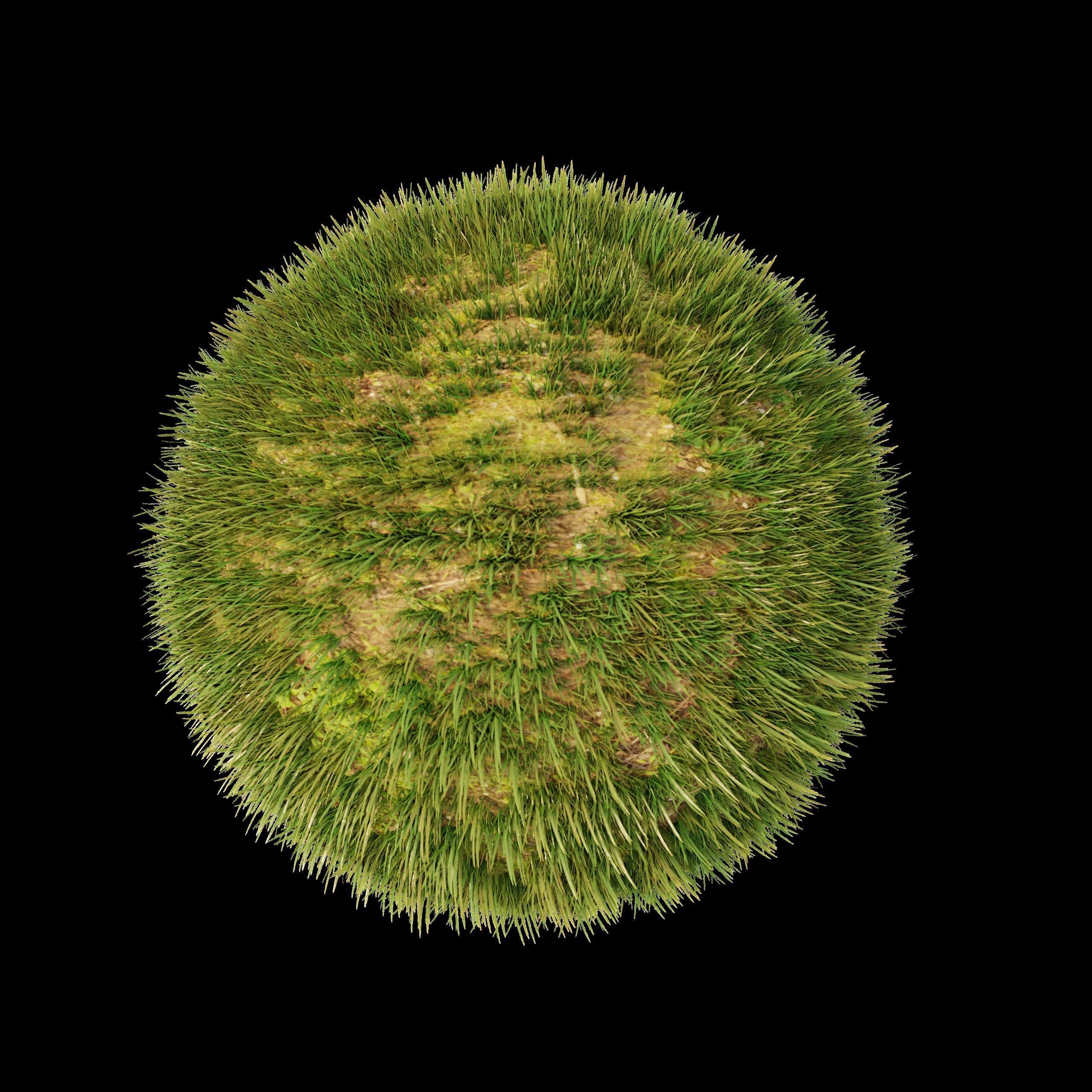Realistic Grass  Cycles and EEVEE Low-poly 3D model_4