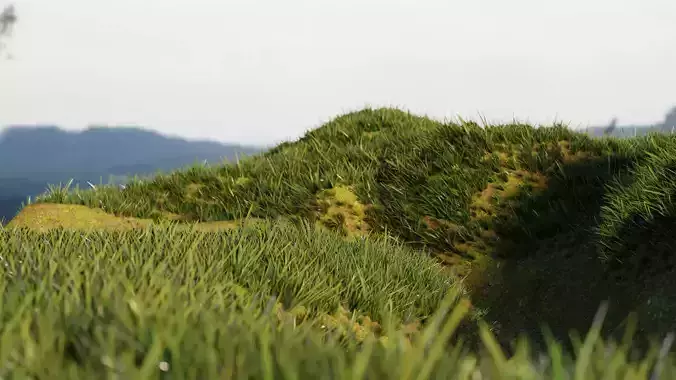 Realistic Grass  Cycles and EEVEE