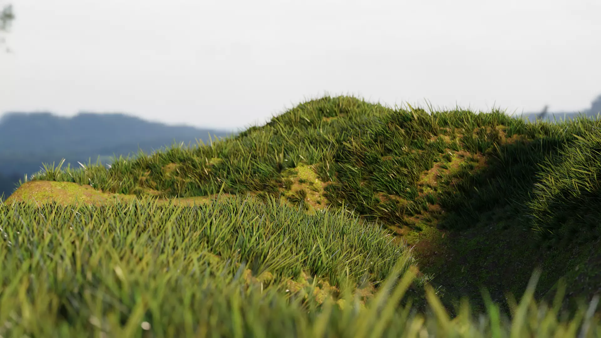 Realistic Grass  Cycles and EEVEE Low-poly 3D model_0