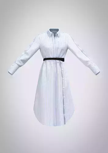 Aster belted button-detailed striped cotton-poplin 3D model