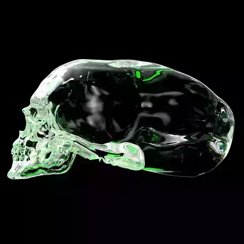 Elongated skull 3D print model