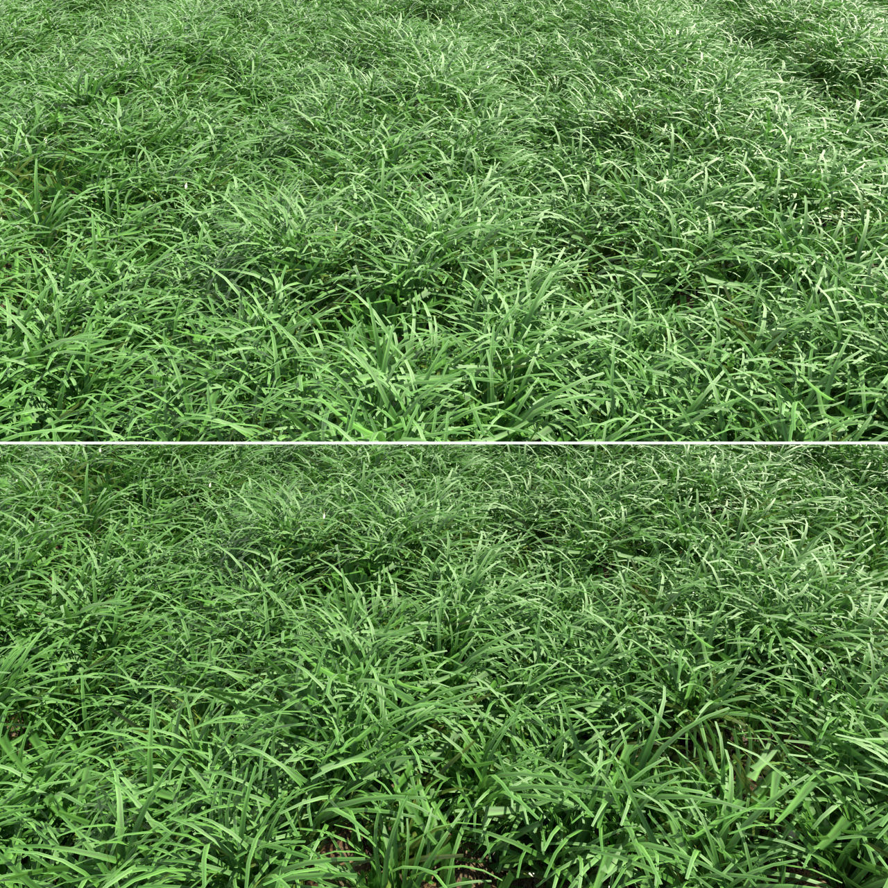 Green lawn Free 3D model_1