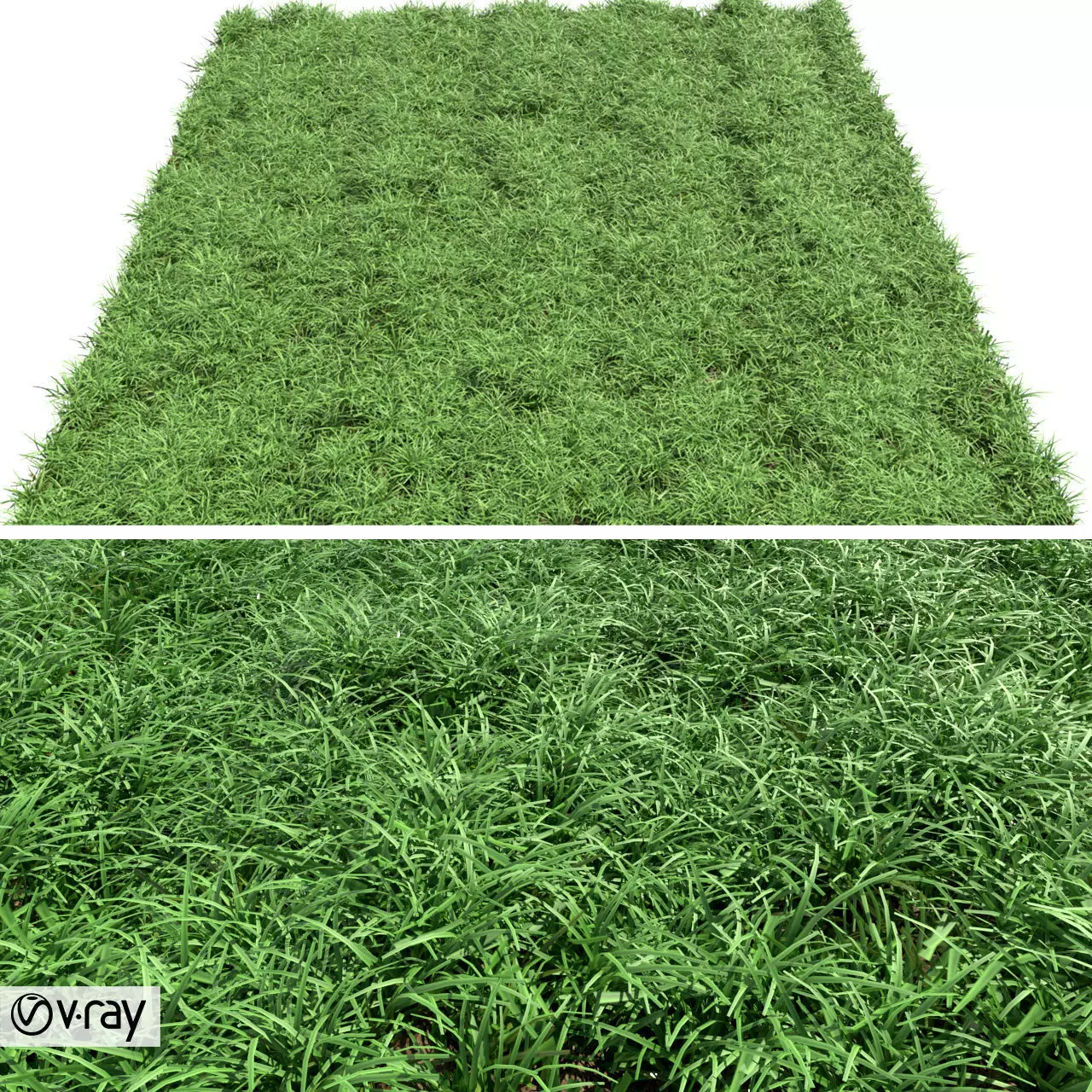 Green lawn Free 3D model_0