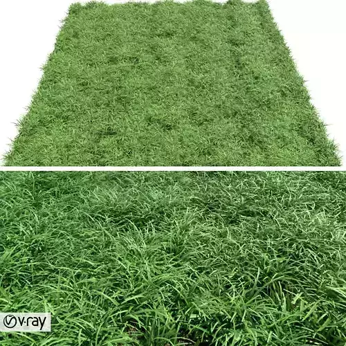 Green lawn Free 3D model