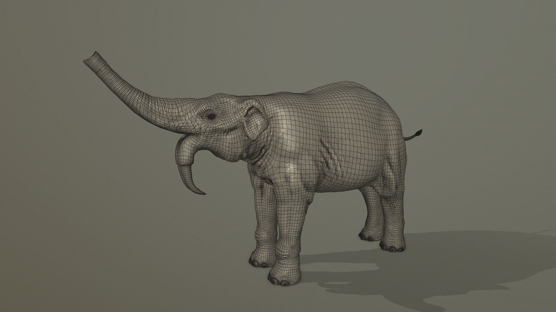 Deinotherium thraceiensis 3D model_6