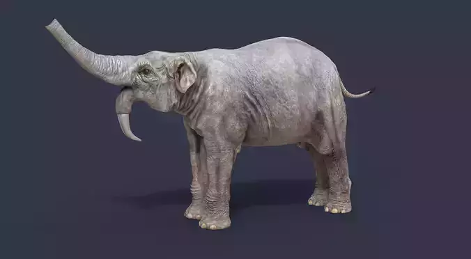 Deinotherium thraceiensis