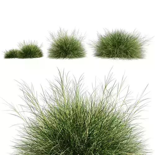 Blue Fescue Low-poly 3D model