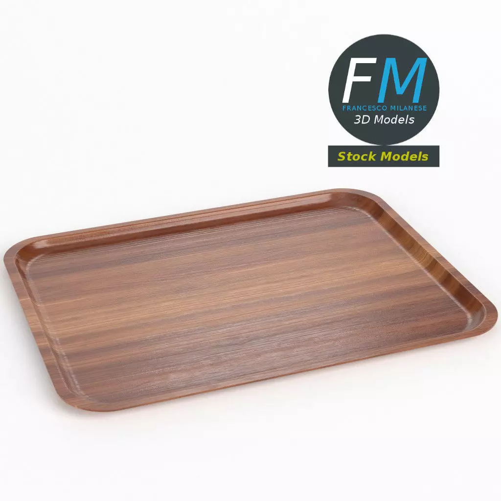 Empty canteen tray 3D model_0
