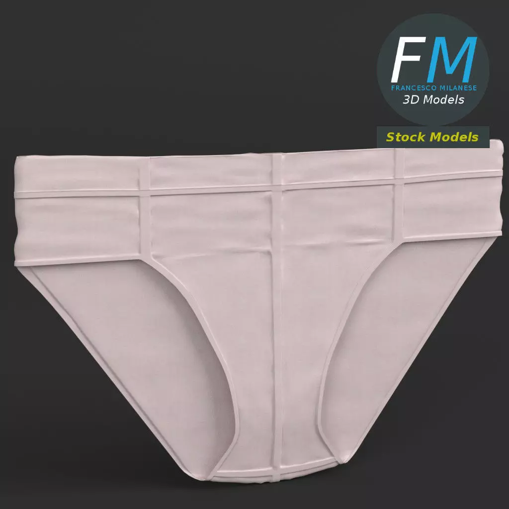 Flat briefs underwear 3D model_0