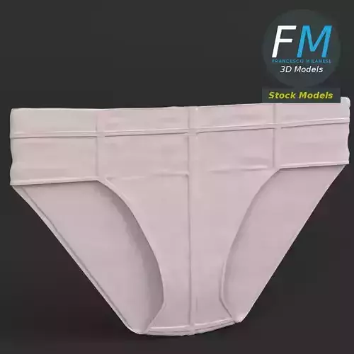 Flat briefs underwear 3D model
