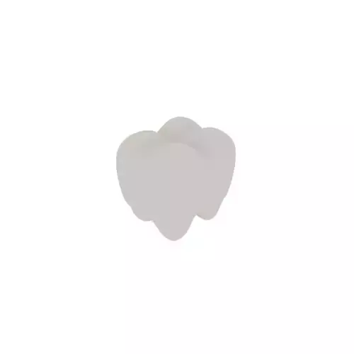 A teeth tooth 3D model