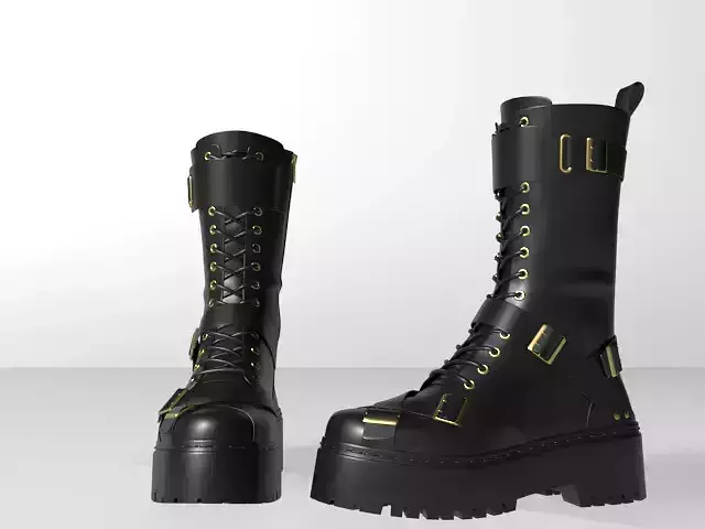 Boots 1 pair of with gold buckles